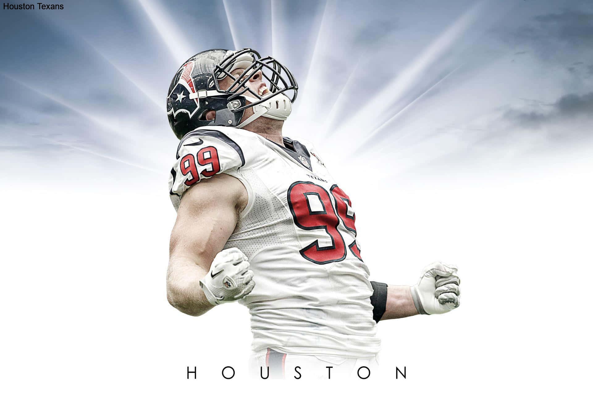 Viral Posts Share Updates from the Houston Texans