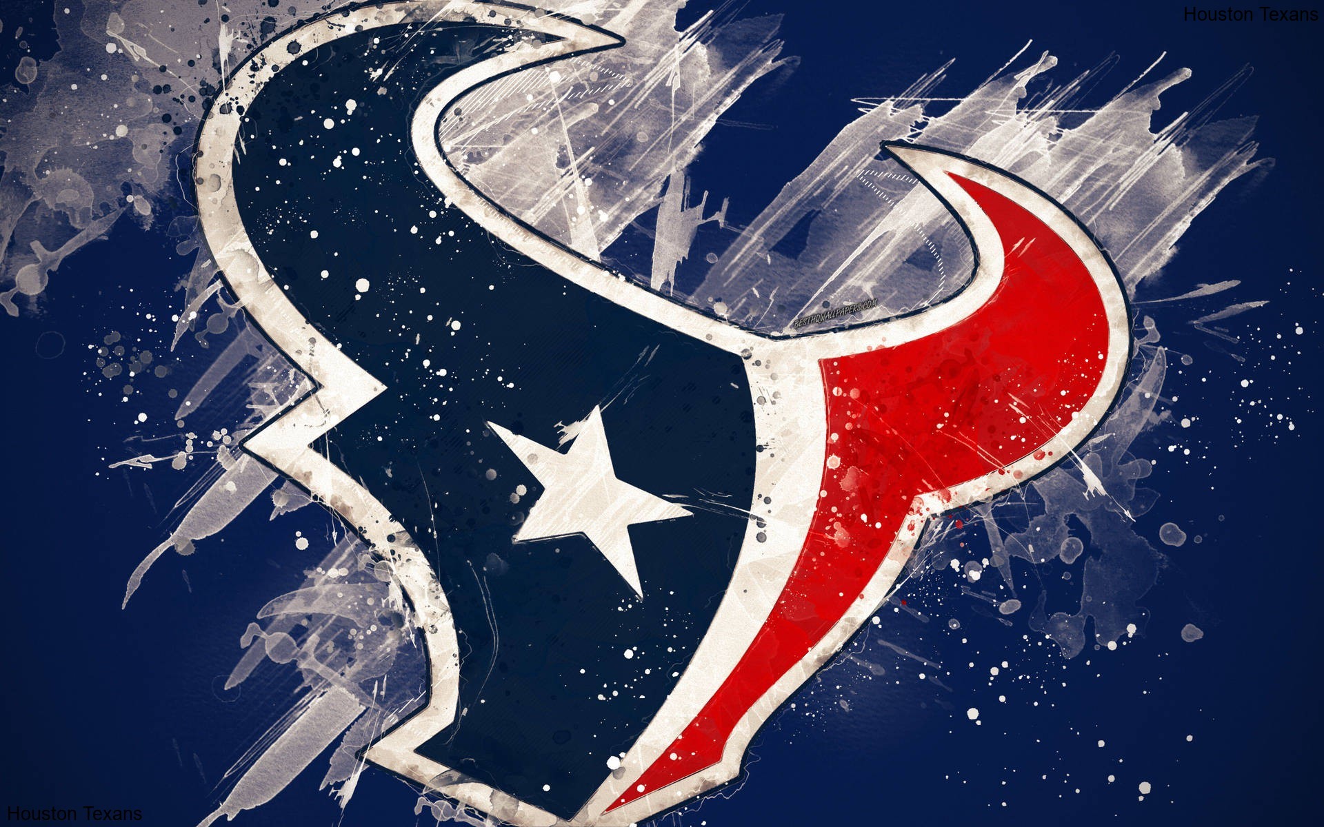 Insights from Strategy Sessions on the Houston Texans