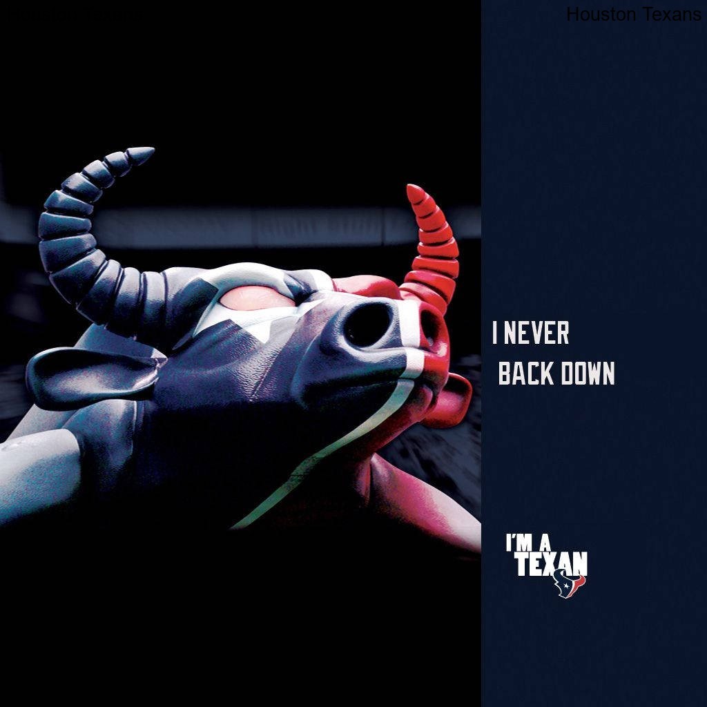 Community Engagement in Events for the Houston Texans Community Engagement in Events for the Houston Texans