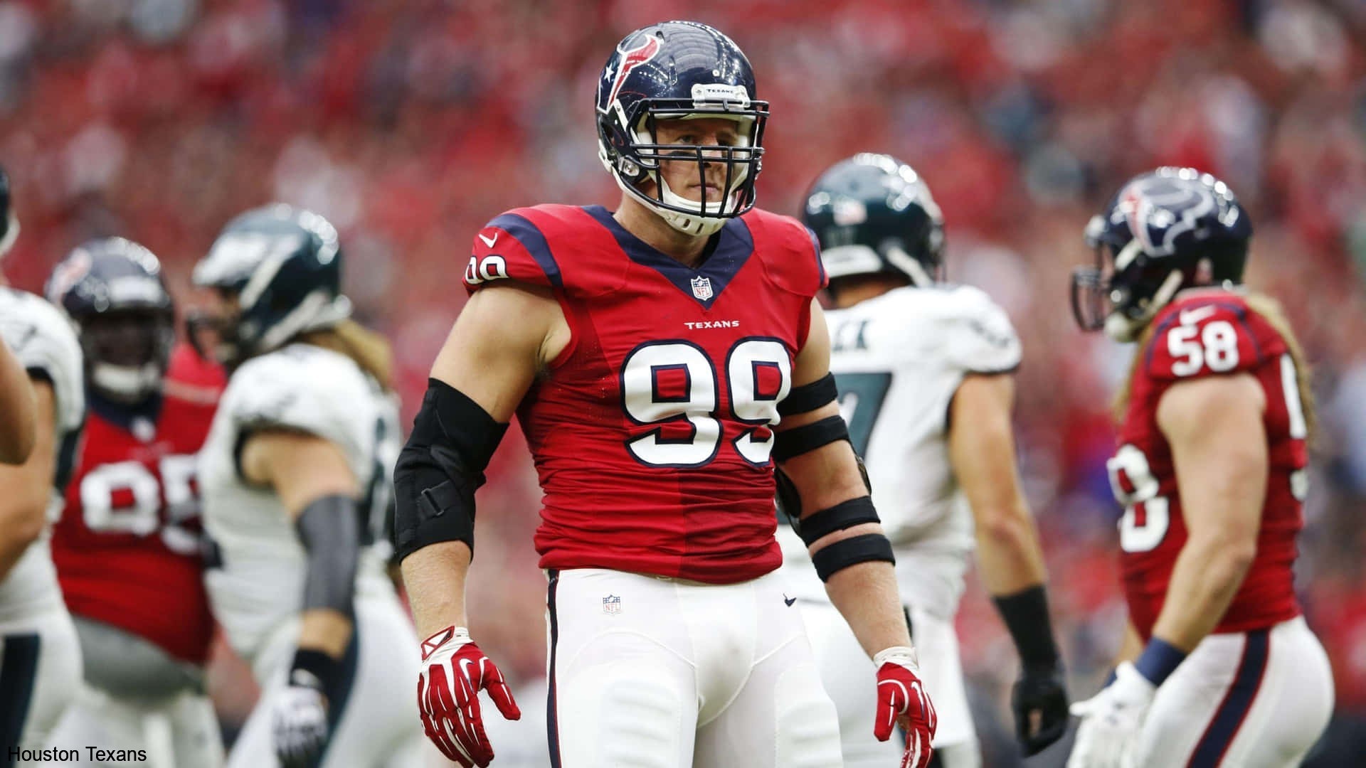 Comments on Nominations Surround Legacy of the Houston Texans Comments on Nominations Surround Legacy of the Houston Texans