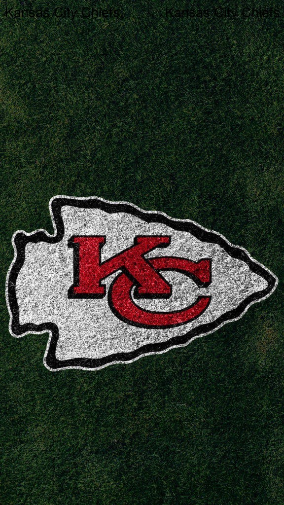 Injures Shoulder in Tough Game for the Kansas City Chiefs Injures Shoulder in Tough Game for the Kansas City Chiefs