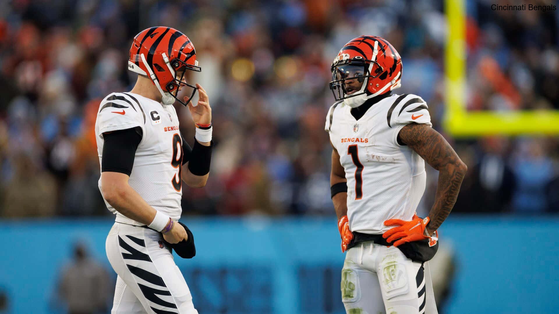 Evan McPherson's Accuracy Praised by the Cincinnati Bengals Teammates Evan McPherson's Accuracy Praised by the Cincinnati Bengals Teammates