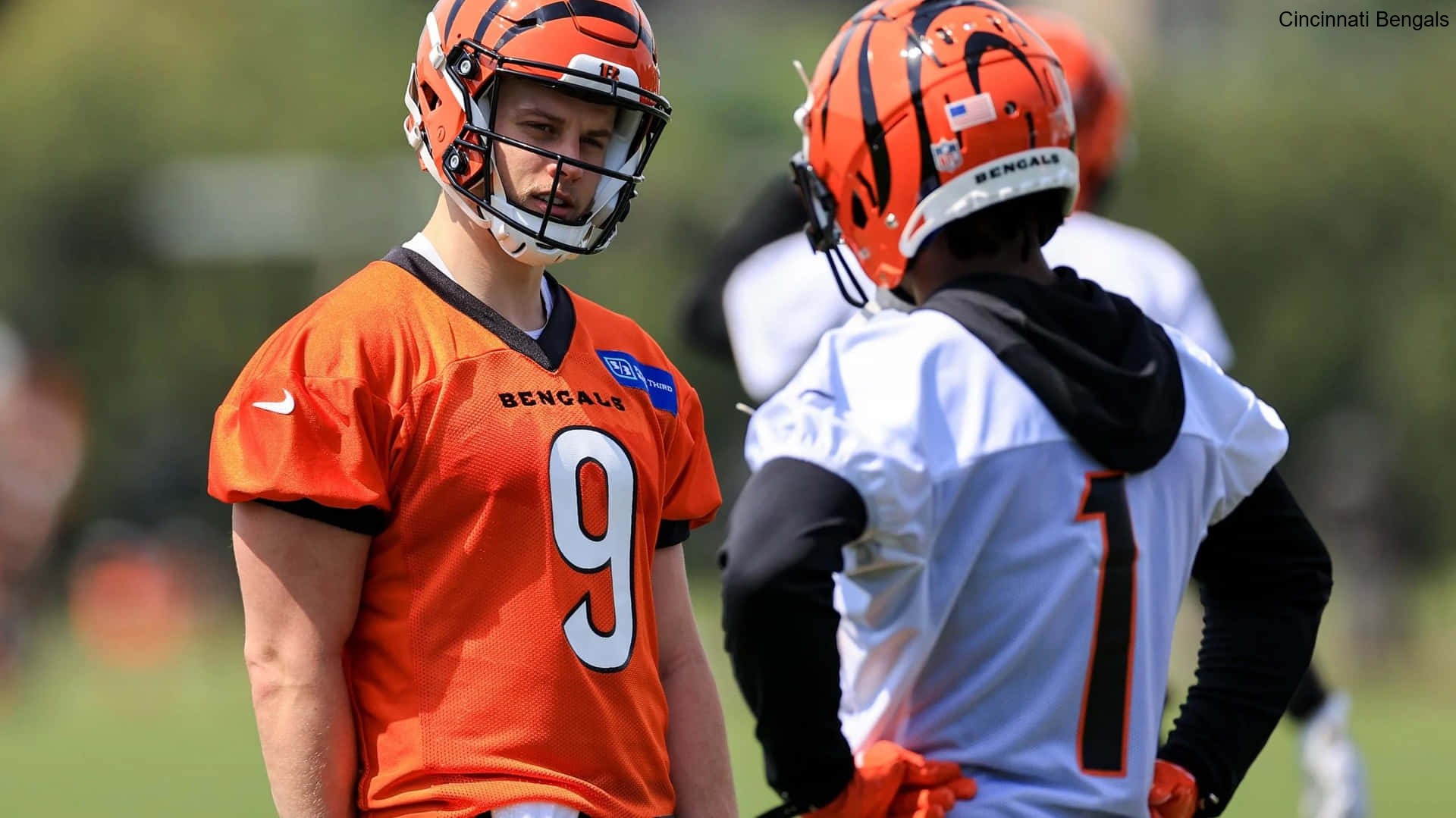 Playoff Dreams Persist Despite Odds for the Cincinnati Bengals Playoff Dreams Persist Despite Odds for the Cincinnati Bengals