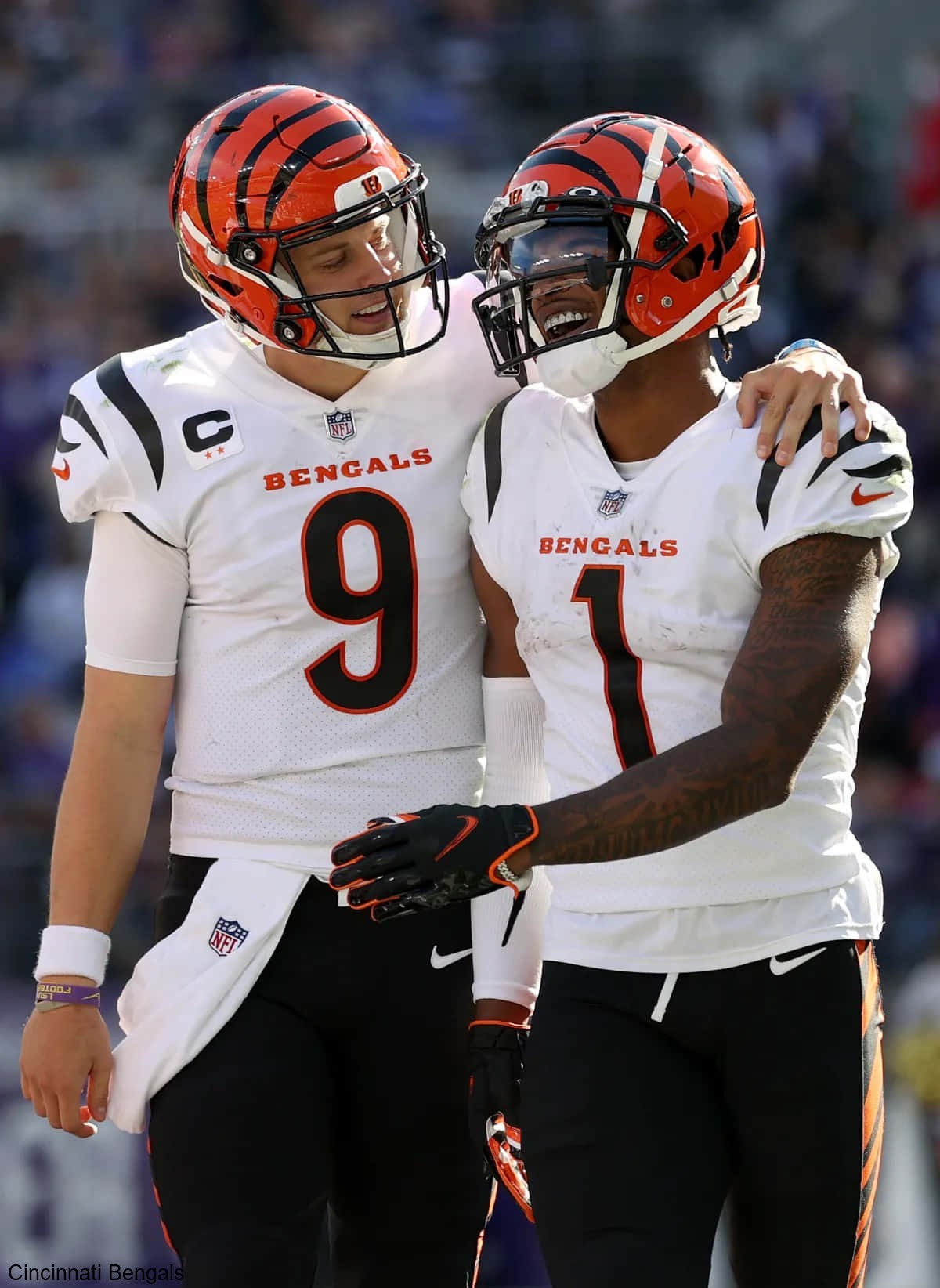 Injury Resilience Shown by Players of the Cincinnati Bengals Injury Resilience Shown by Players of the Cincinnati Bengals