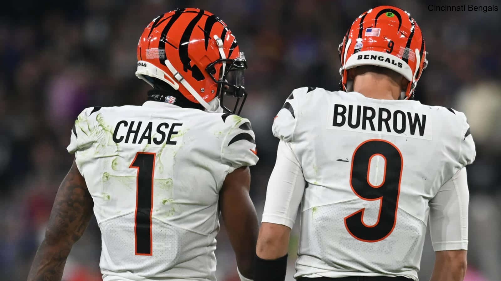 Fan Polls Predict Outcomes for the Cincinnati Bengals' Remaining Games Fan Polls Predict Outcomes for the Cincinnati Bengals' Remaining Games