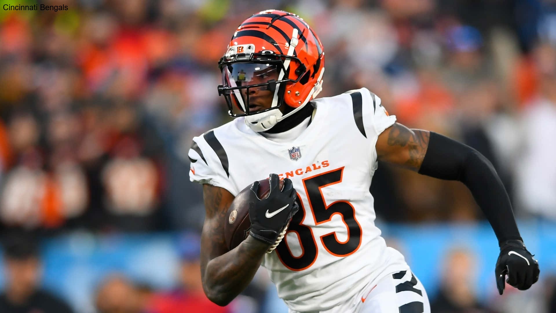 Fan Predictions for December Games of the Cincinnati Bengals Fan Predictions for December Games of the Cincinnati Bengals