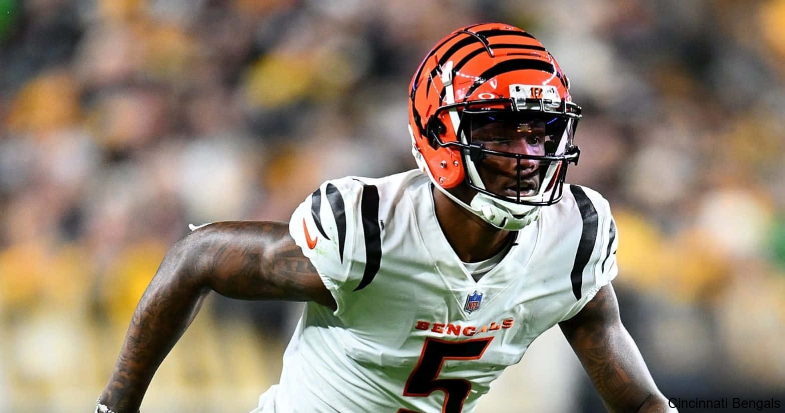 Injury List Shrinks as Players Return to the Cincinnati Bengals Injury List Shrinks as Players Return to the Cincinnati Bengals