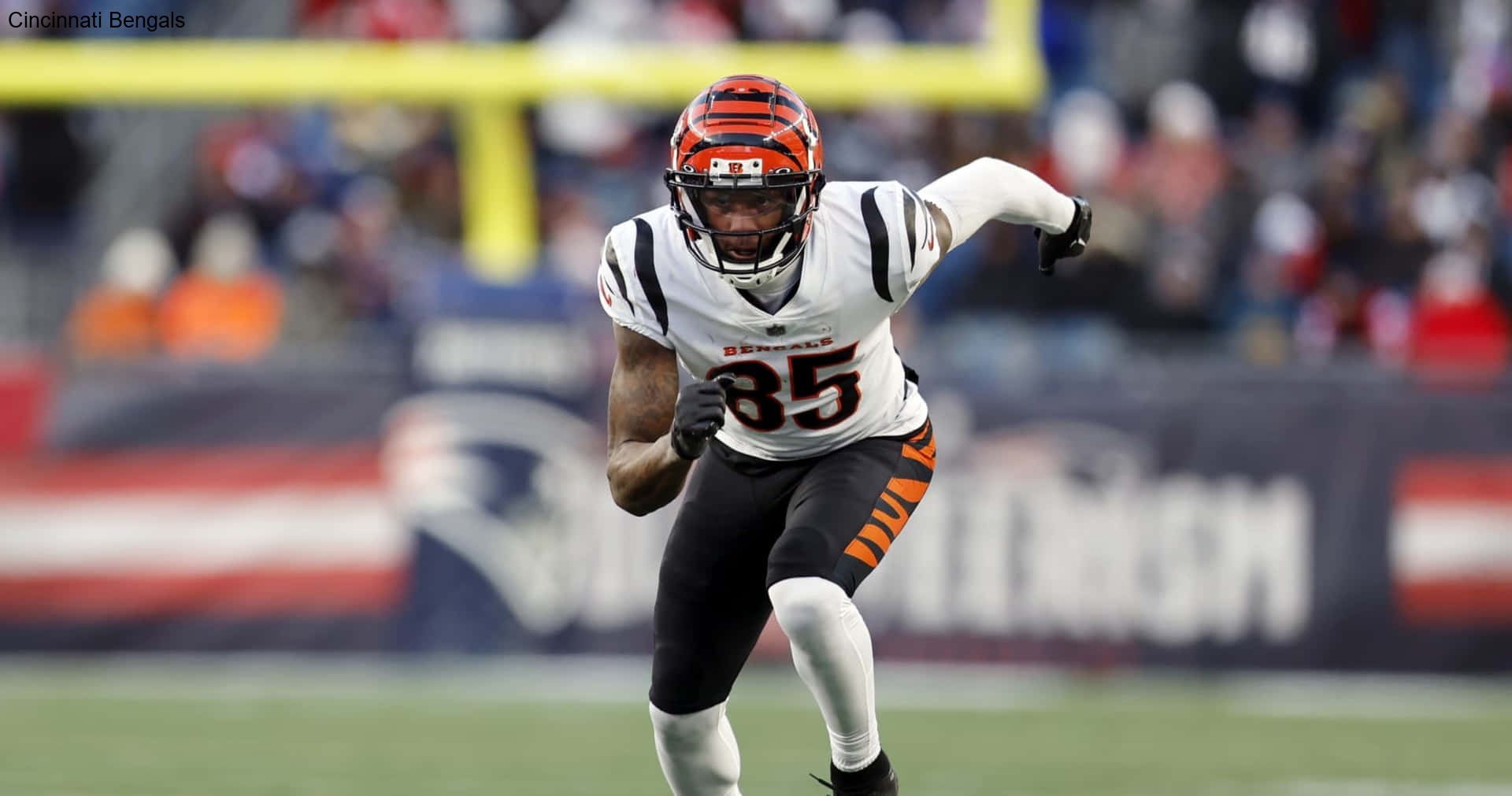 Defensive Depth Powers the Cincinnati Bengals in Crunch Time Defensive Depth Powers the Cincinnati Bengals in Crunch Time