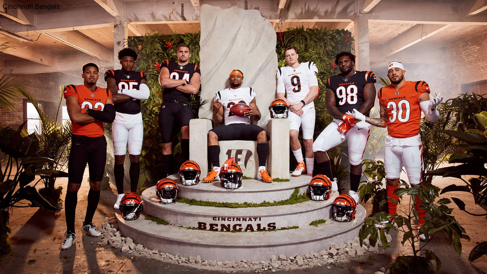 Social Media Trends Spotlight Rising Stars of the Cincinnati Bengals Social Media Trends Spotlight Rising Stars of the Cincinnati Bengals