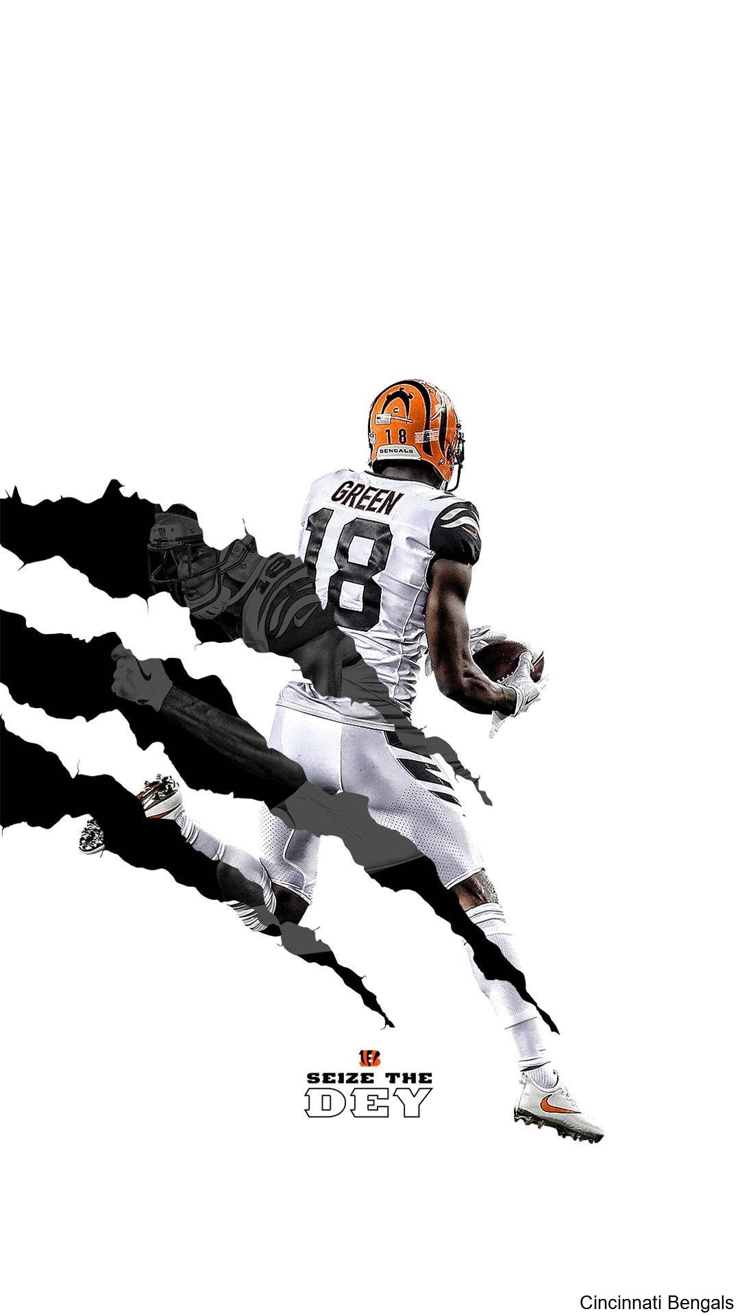 Fan Support Grows Stronger for the Cincinnati Bengals' Journey Fan Support Grows Stronger for the Cincinnati Bengals' Journey