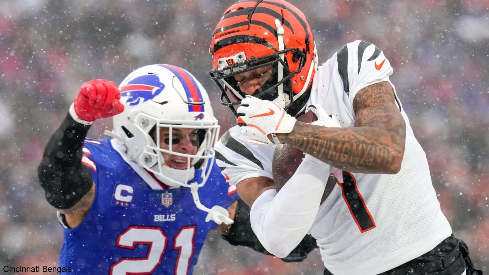 Social Media Campaigns Rally Behind the Cincinnati Bengals Social Media Campaigns Rally Behind the Cincinnati Bengals