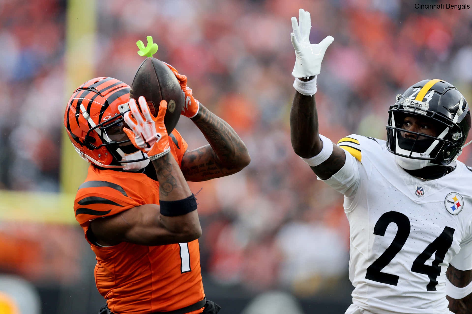 Fan Forums Discuss Future of the Cincinnati Bengals Fan Forums Discuss Future of the Cincinnati Bengals