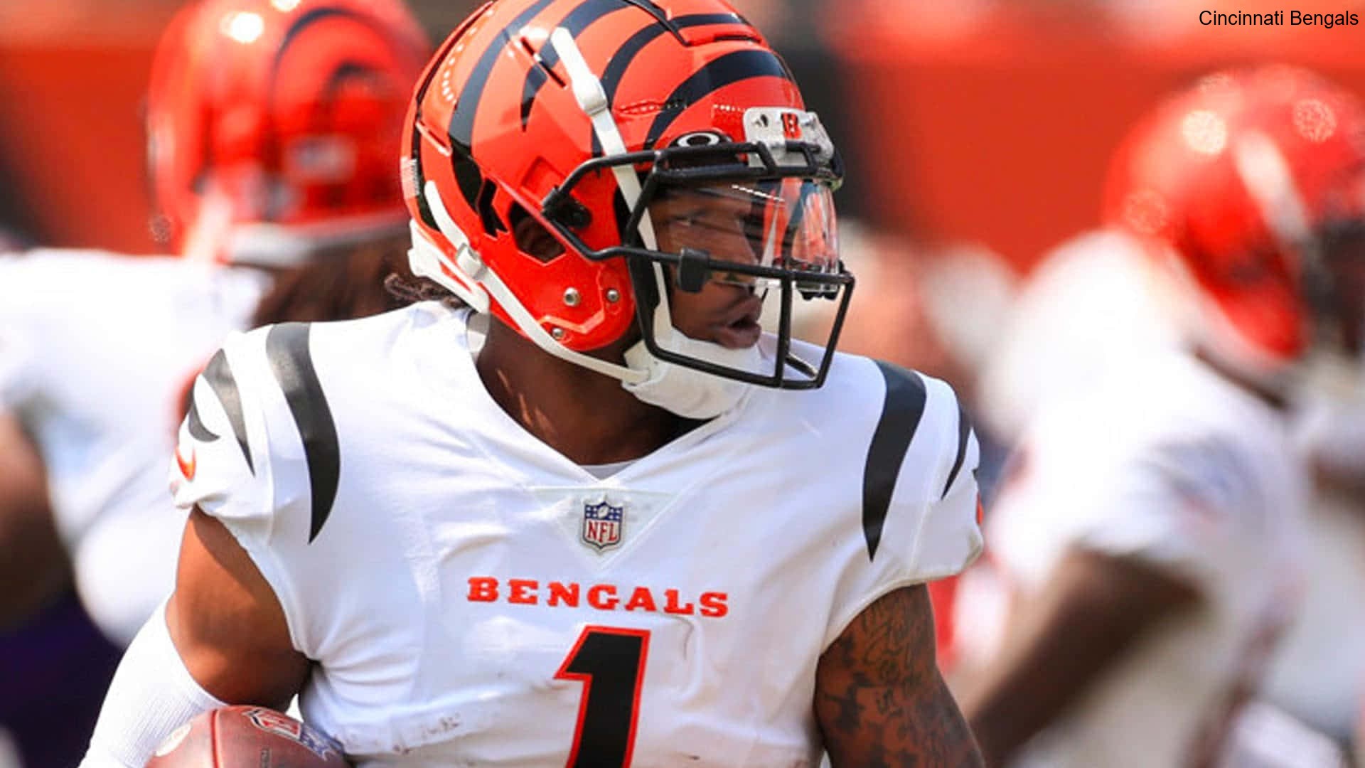 Injury Precautions Implemented to Protect the Cincinnati Bengals Players Injury Precautions Implemented to Protect the Cincinnati Bengals Players