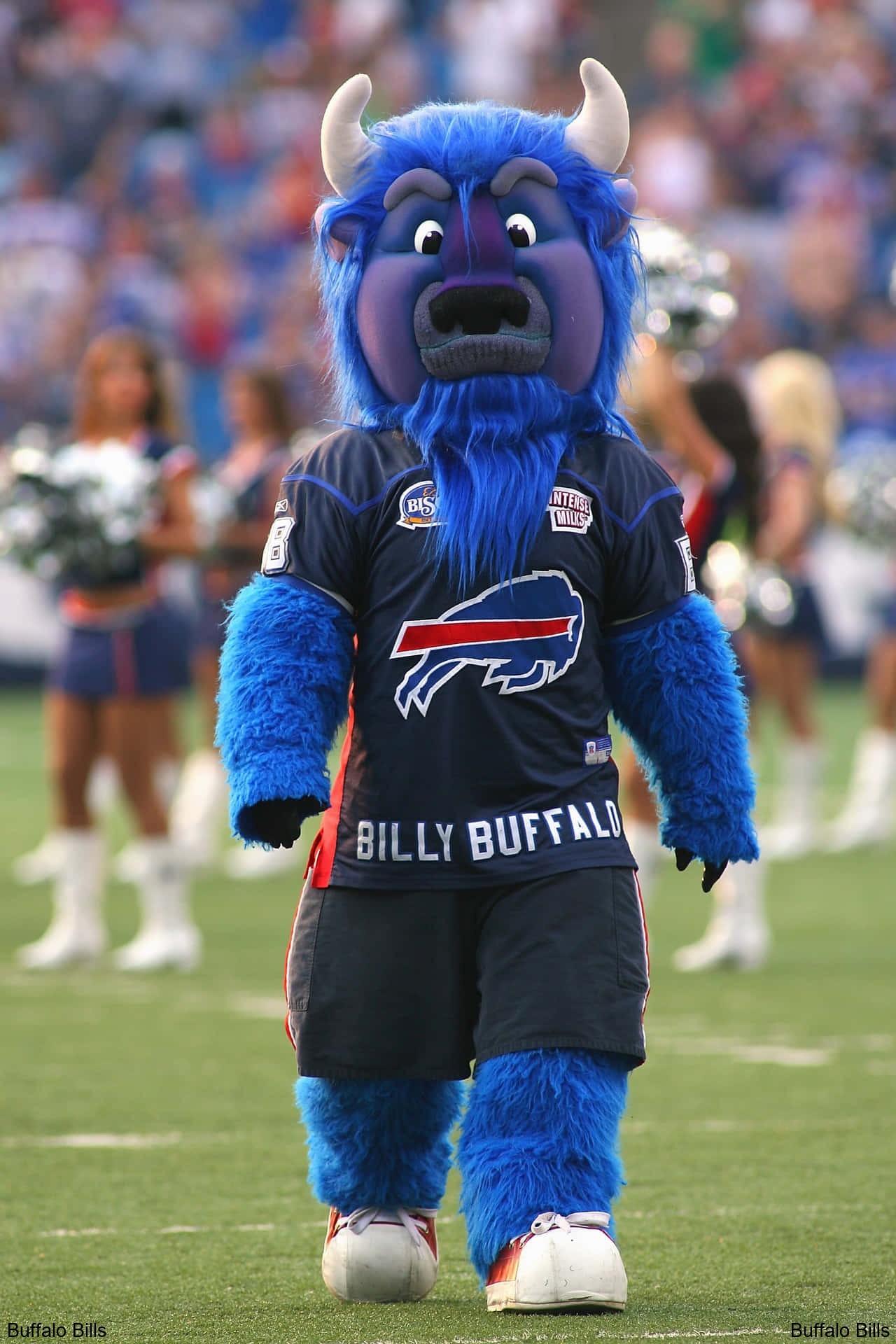 Unforgettable Buffalo Bills Celebration Buffalo Bills Unforgettable Buffalo Bills Celebration Buffalo Bills