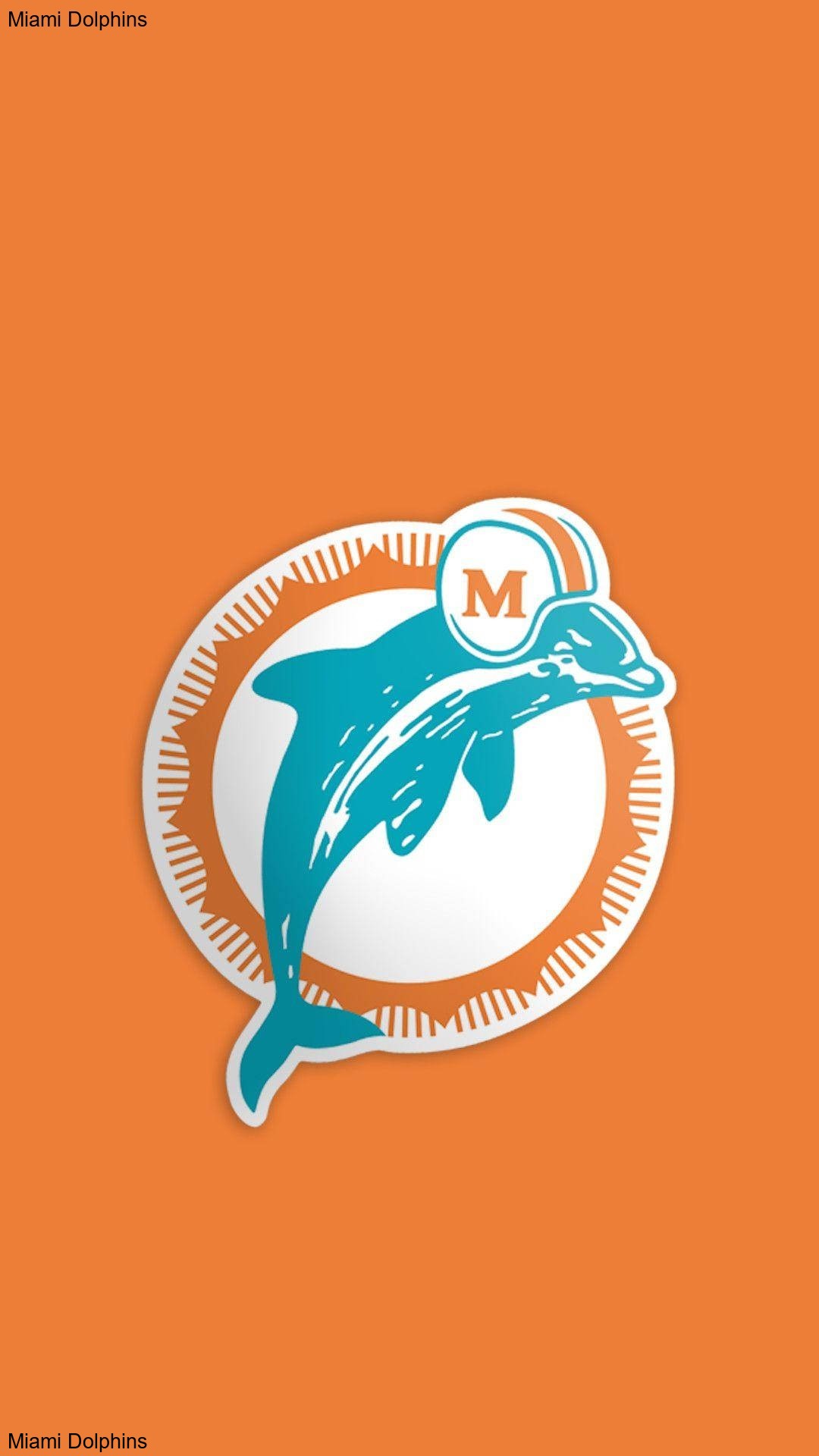 Defensive Weekly Award Goes to Star of the Miami Dolphins