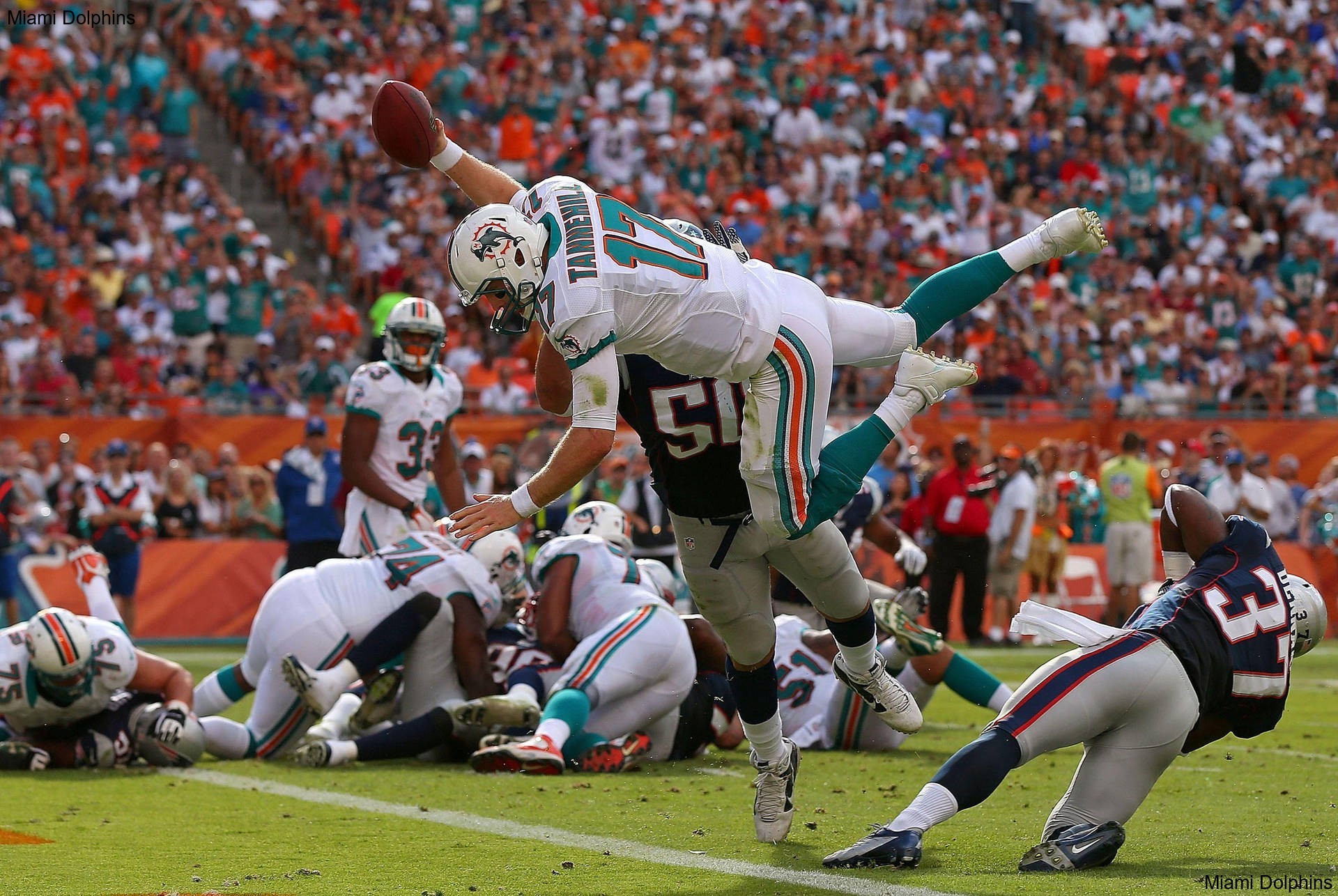 Season Turnaround Story Unfolds with the Miami Dolphins