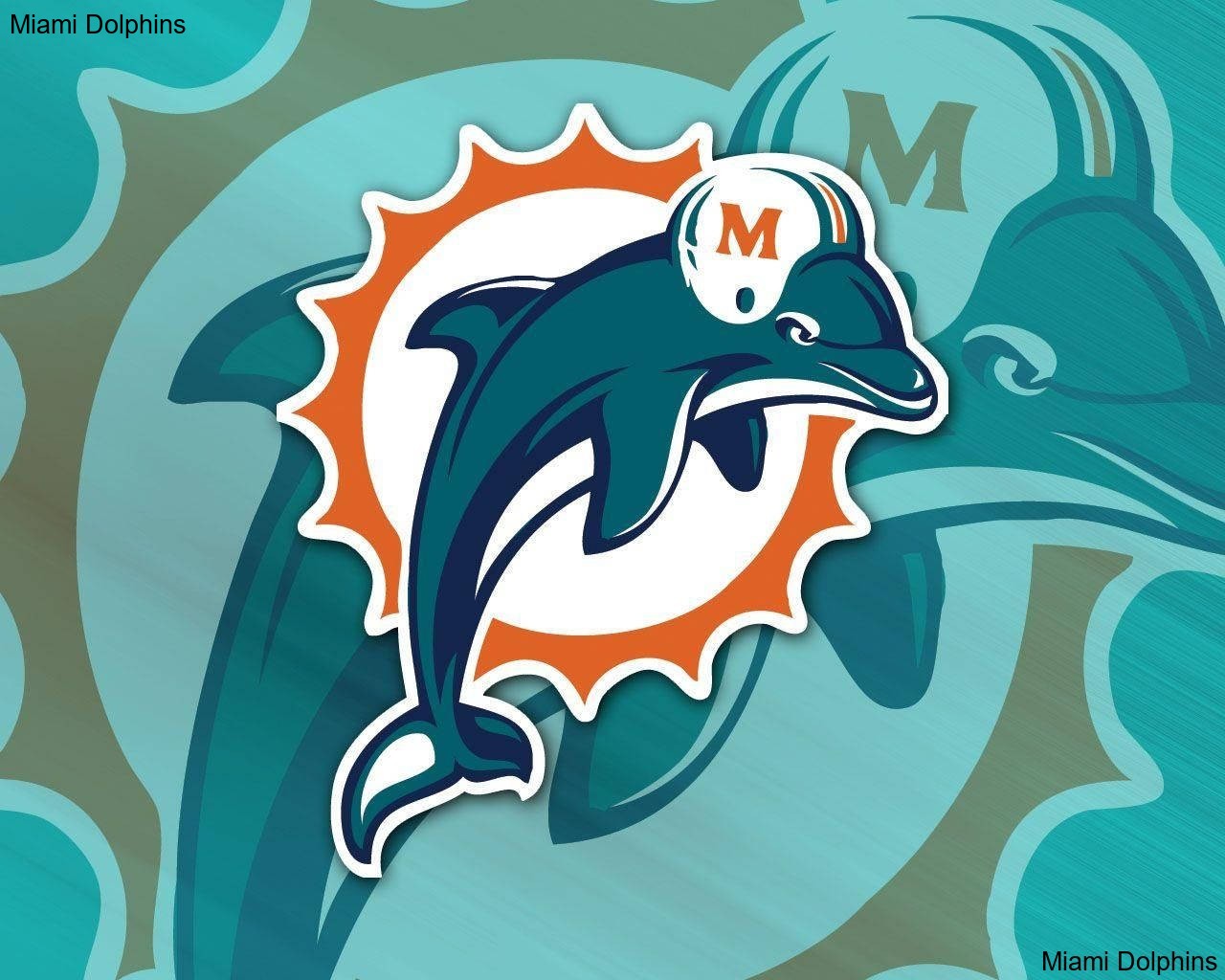 How the Miami Dolphins Stack Up Against Their AFC Rivals